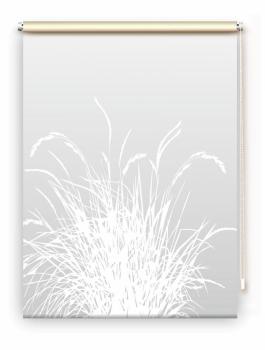 Rollo Reed24 lichtgrau dark - Sichtschutz Extartiqe